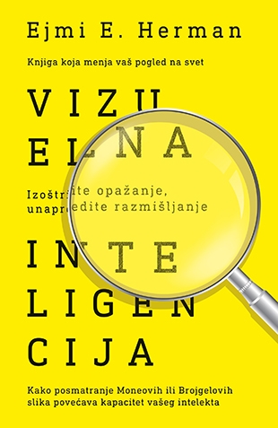 Vizuelna inteligencija