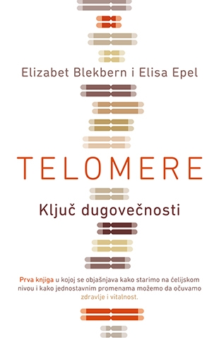 Telomere