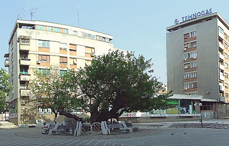 nova knjižara delfi od 1 marta u smederevu laguna knjige