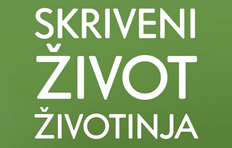 o lažljivim senicama i saosećajnim miševima laguna knjige