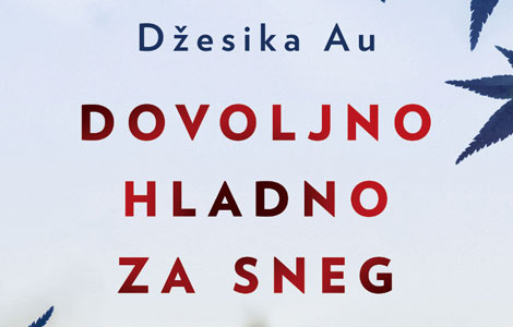 prikaz romana dovoljno hladno za sneg zamršene emocije u hladnom vazduhu laguna knjige