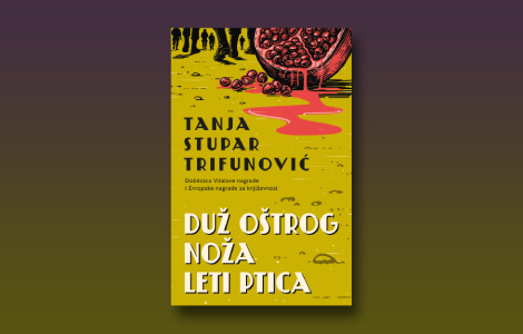 prikaz romana duž oštrog noža leti ptica glad, vojska i vaške laguna knjige