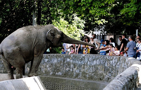 laguna u zoo vrtu tokom čitavog leta laguna knjige